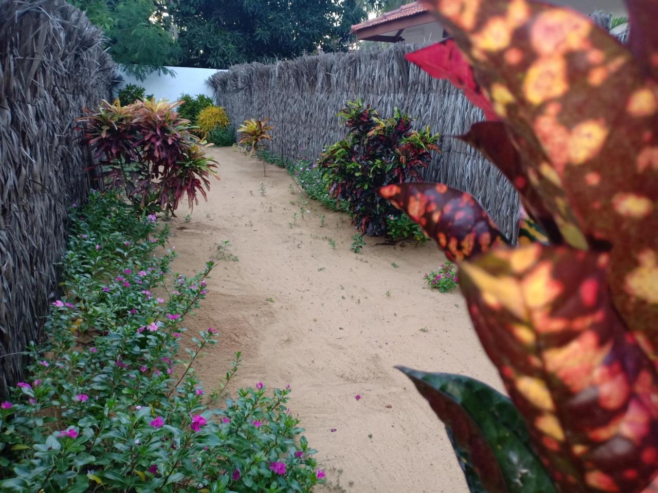 Sunset Safari&Resort Kalpitiya Eksteriør bilde