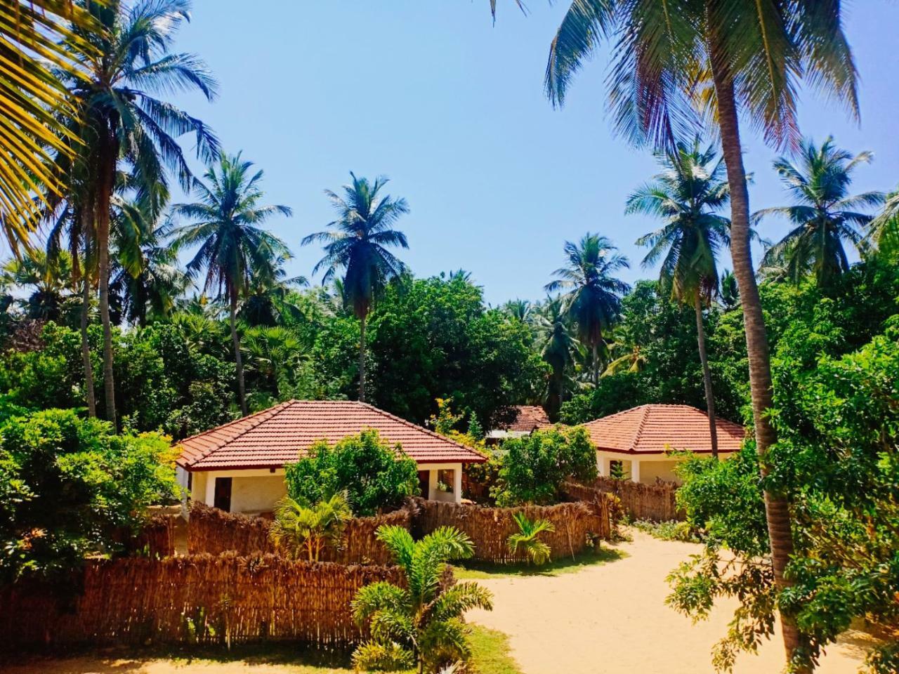 Sunset Safari&Resort Kalpitiya Eksteriør bilde